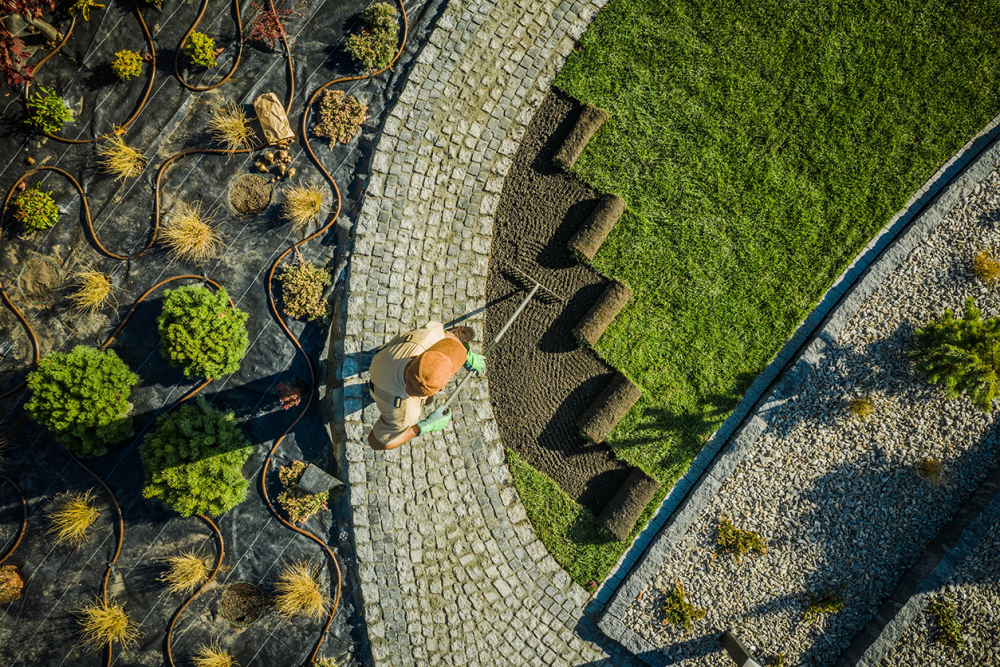 AdobeStock_296386042.png